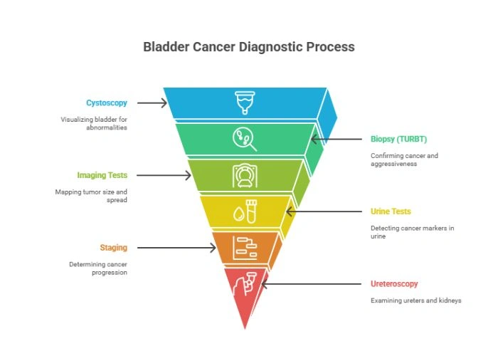 Diagnosis of Bladder Cancer
